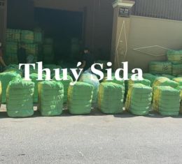 LÔ HÀN QUỐC MANH (SK) 