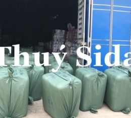 LÔ NHẬT MANH CON RỒNG
