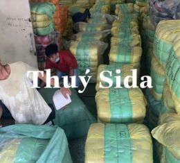 LÔ HÀN QUỐC MANH BÔNG MAI (HJ)