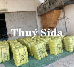 LÔ NHẬT MANH VÀNG (CÁI NÓN)