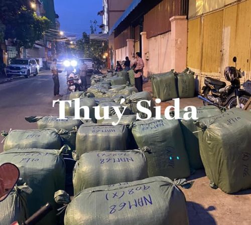 LÔ NHẬT MẠNH XANH DAIMEX 