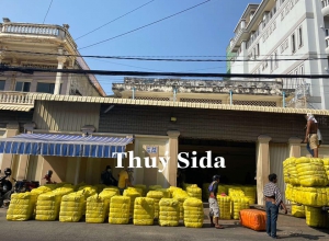  CẬP NHẬT HÀNG VỀ NGÀY HÔM NAY (11/3)  LÔ HÀN QUỐC MANH VÀNG (SMK) VỪA CÓ MẶT TẠI KHO THÚY ĐỒ SI 