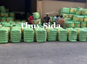 HÔM NAY 19/3 THÚY CHO VỀ LÔ HÀN QUỐC MANH SK 