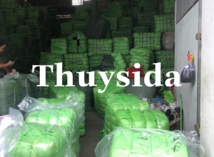 THỨ 5 (25/3)...THUÝ CHO VỀ LÔ NHẬT MẠNH XANH DAIMEX NHA CẢ NHÀ