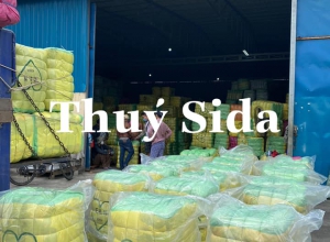 HÔM NAY THUÝ CHO VỀ LÔ HÀN QUỐC MANH TRÁI TIM (EN)