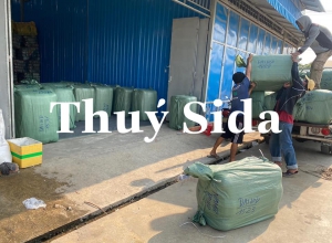 LÔ NHẬT MẠNH TRONG (DEVID)
